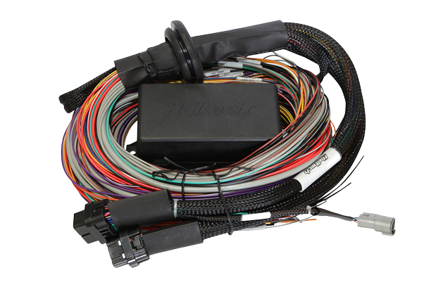 Elite 1500 + Premium Universal Wire-in Harness Kit Length: 2.5m (8')