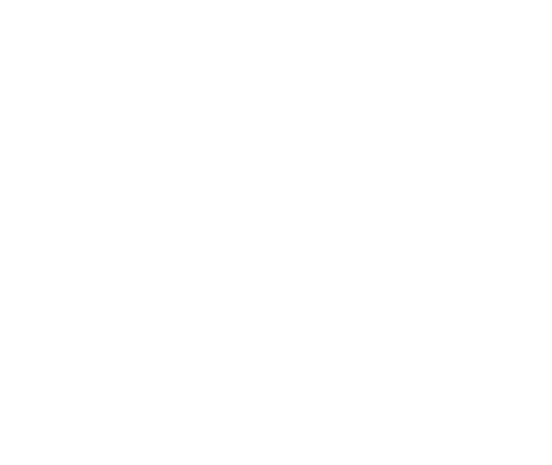 Higher Standards Automotive Performance